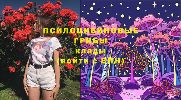 прущие крисы Алексин