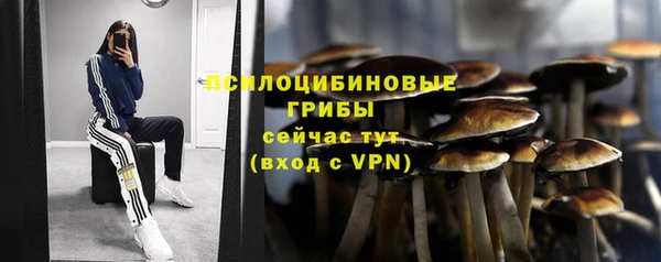 PSILOCYBIN Алзамай