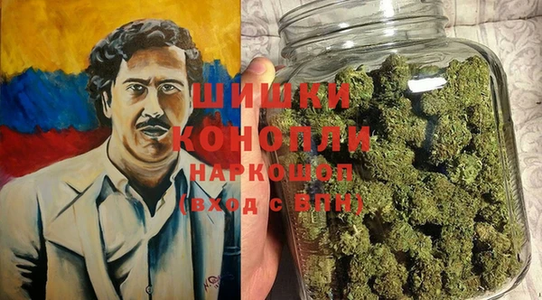 PSILOCYBIN Алзамай