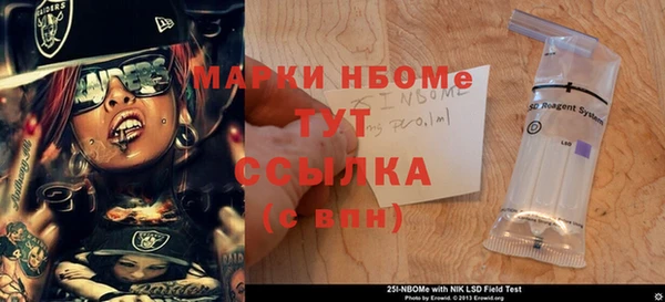 PSILOCYBIN Алзамай